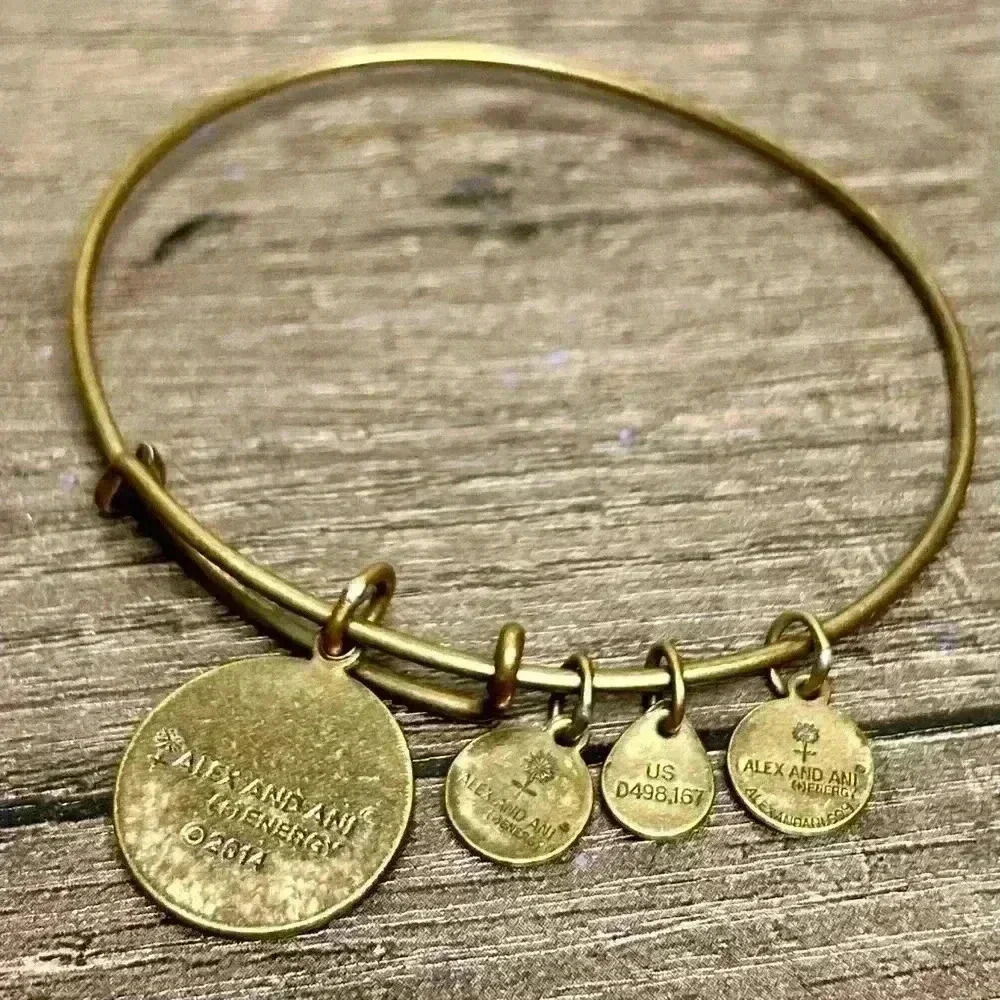 Alex and Ani (+) Energy 2014 Fleur De Lis Charm Bangle Bracelet - Picture 3 of 3